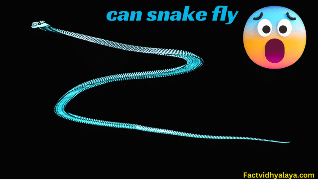 can snakes see the stars