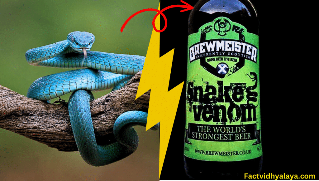 strongest beer in the world is known as snake venom