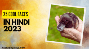 cool facts about platypus in hindi